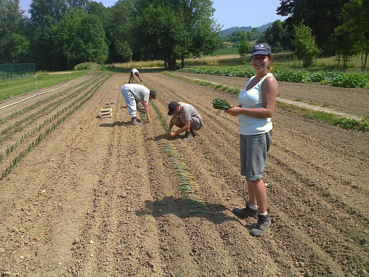 Photo0384