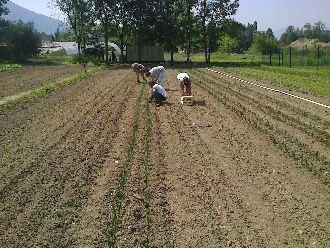 Photo0388