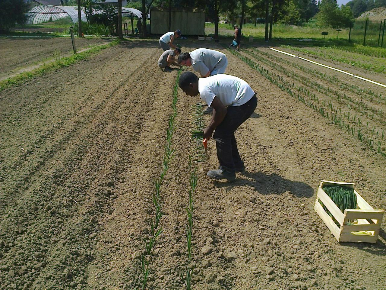 Photo0391