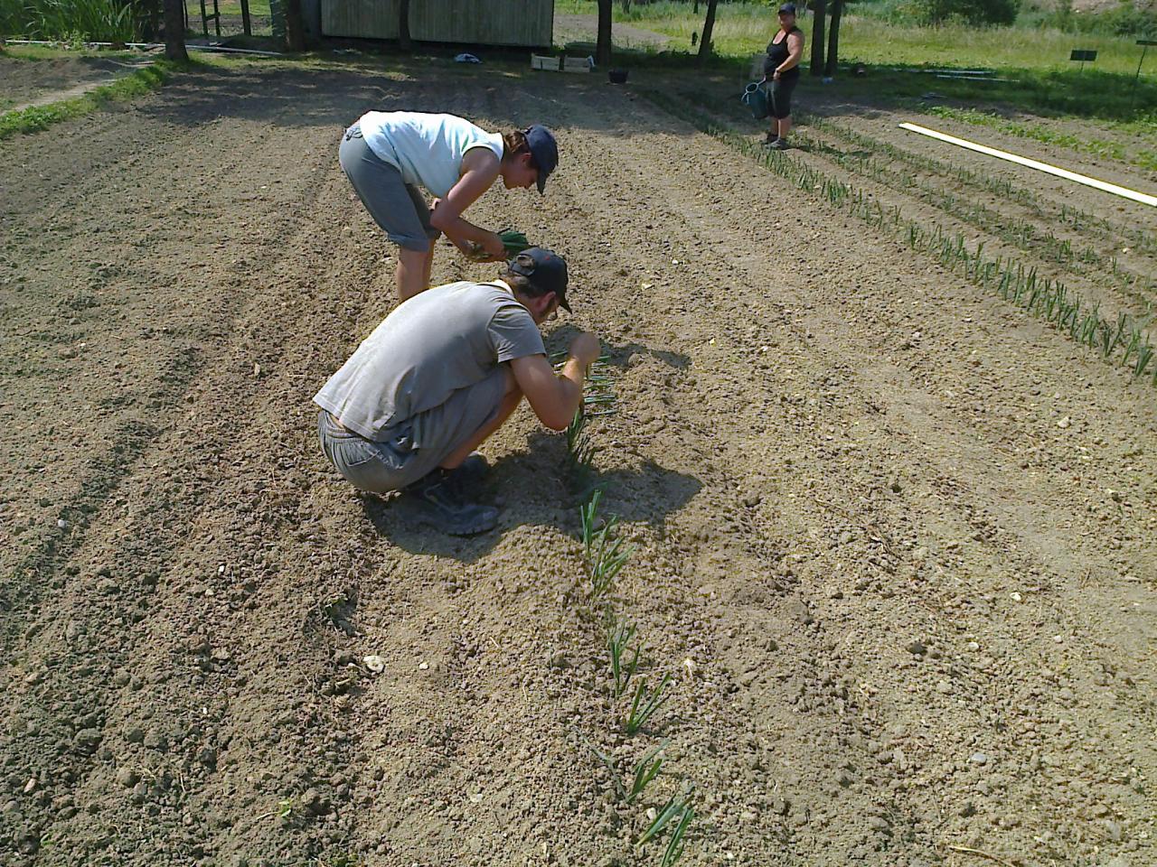Photo0392